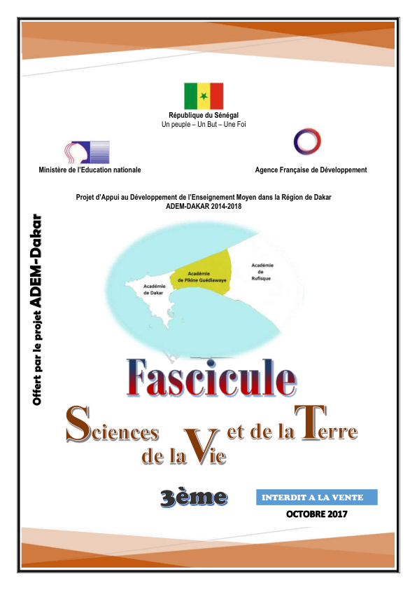 Image de fichier